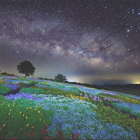 くじゅう花公園　キャンピングリゾート花と星 Kuju Esterno foto
