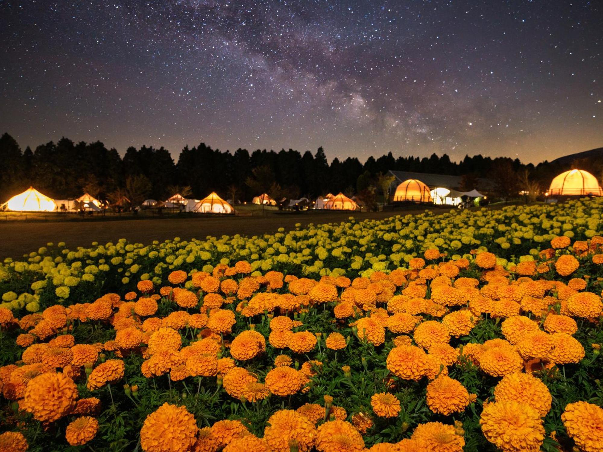 くじゅう花公園　キャンピングリゾート花と星 Kuju Esterno foto