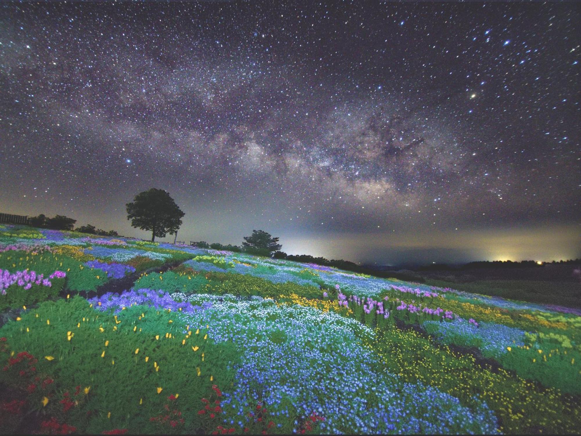 くじゅう花公園　キャンピングリゾート花と星 Kuju Esterno foto