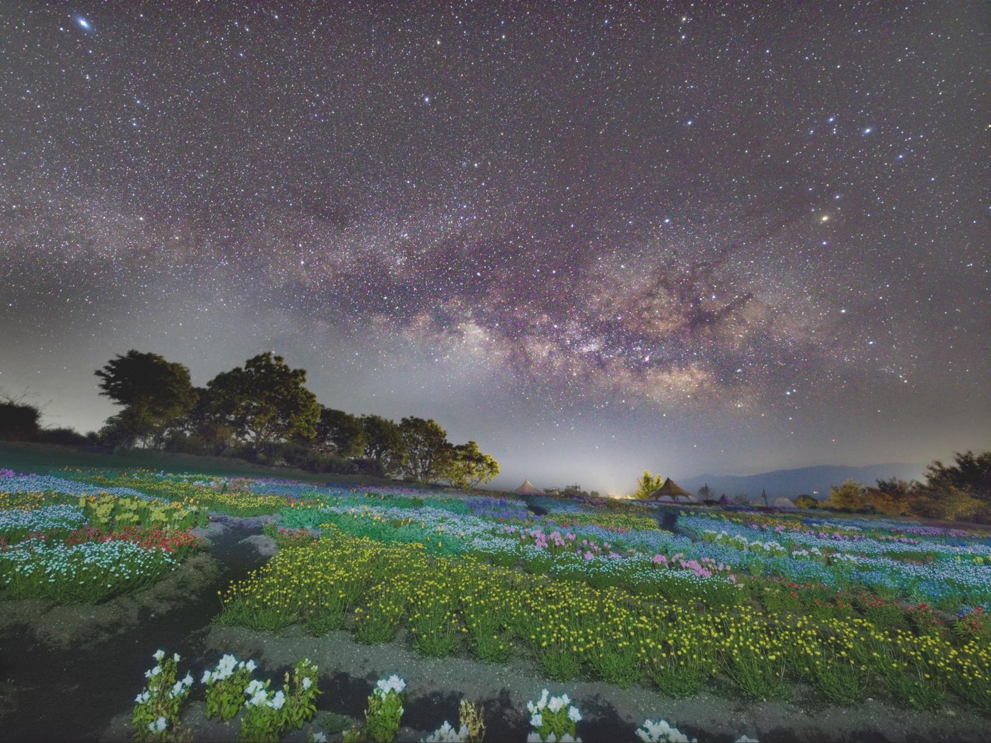 くじゅう花公園　キャンピングリゾート花と星 Kuju Esterno foto