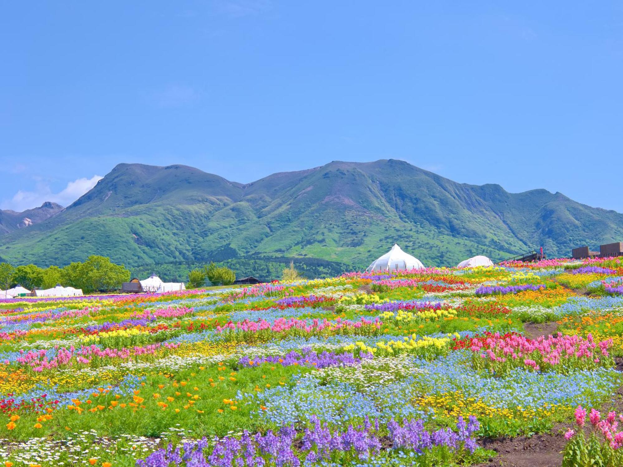 くじゅう花公園　キャンピングリゾート花と星 Kuju Esterno foto