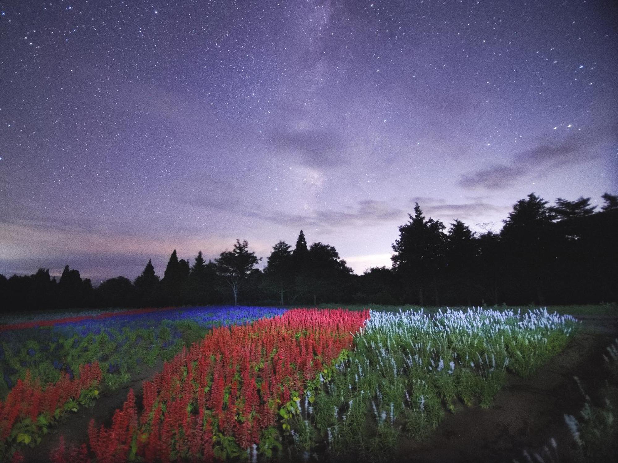 くじゅう花公園　キャンピングリゾート花と星 Kuju Esterno foto