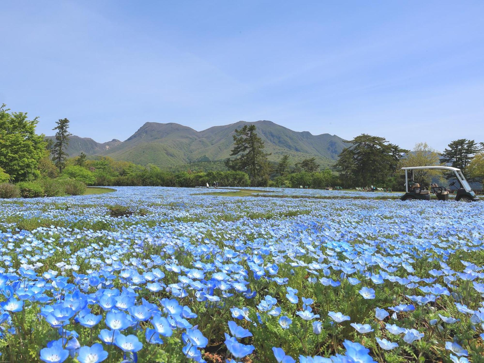 くじゅう花公園　キャンピングリゾート花と星 Kuju Esterno foto