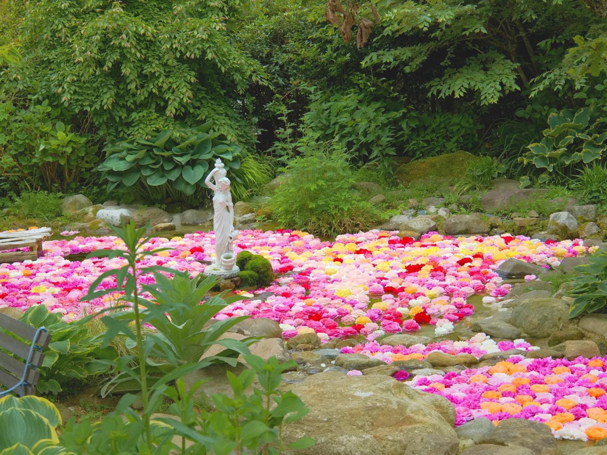 くじゅう花公園　キャンピングリゾート花と星 Kuju Esterno foto