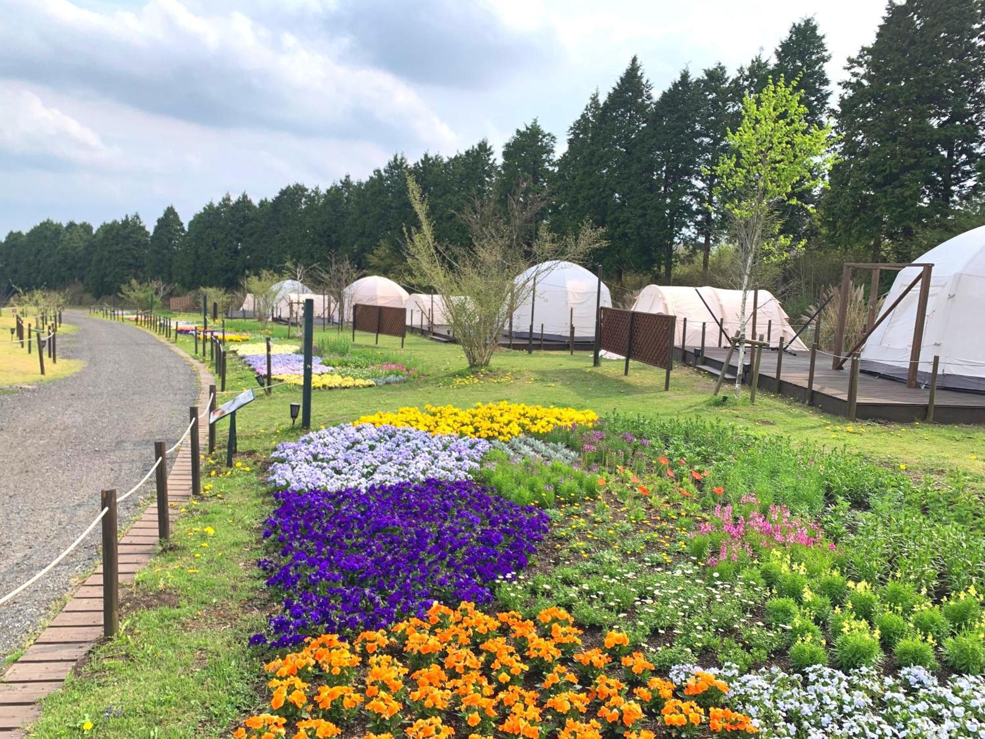 くじゅう花公園　キャンピングリゾート花と星 Kuju Esterno foto