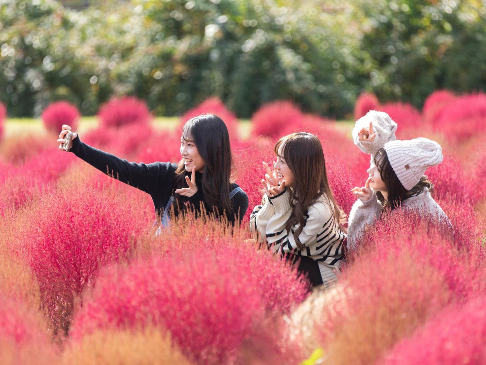 くじゅう花公園　キャンピングリゾート花と星 Kuju Esterno foto