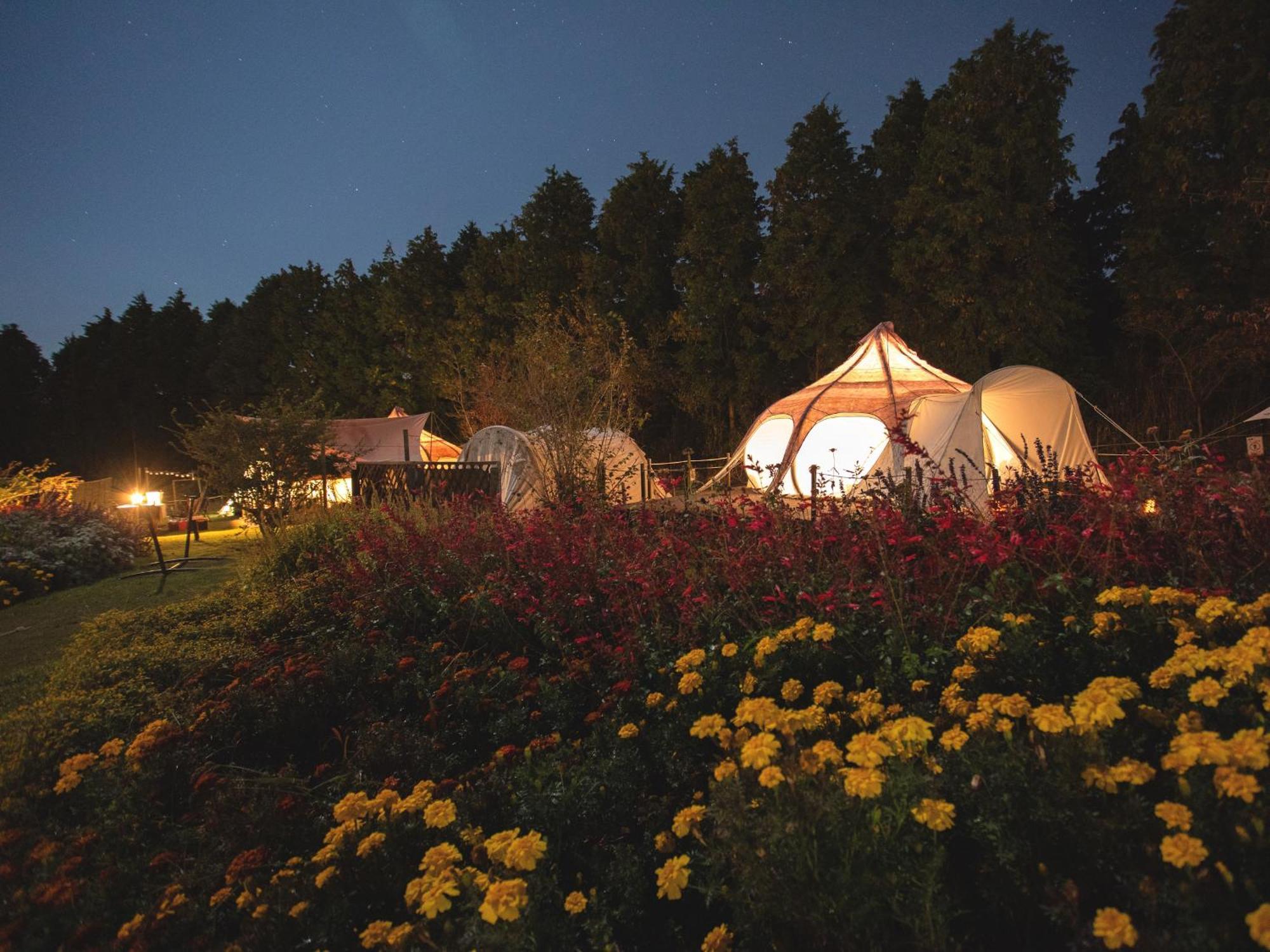 くじゅう花公園　キャンピングリゾート花と星 Kuju Esterno foto