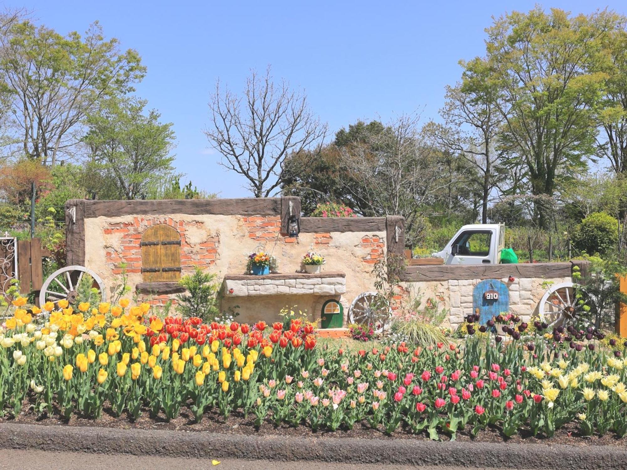 くじゅう花公園　キャンピングリゾート花と星 Kuju Esterno foto