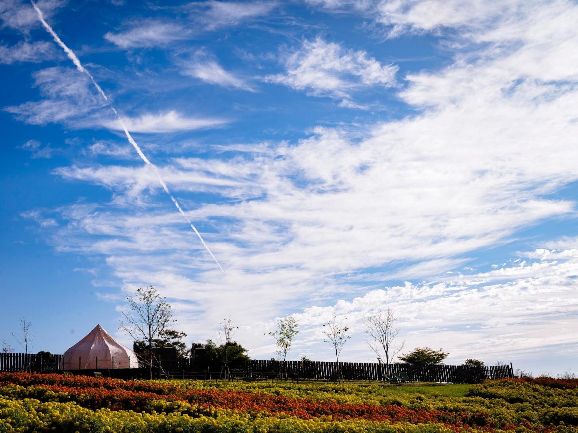 くじゅう花公園　キャンピングリゾート花と星 Kuju Esterno foto