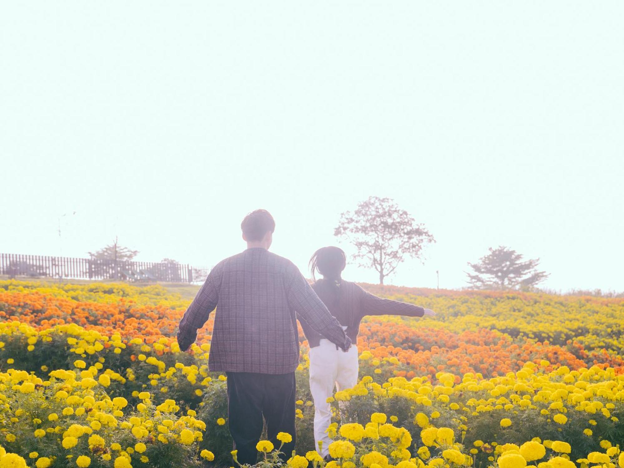 くじゅう花公園　キャンピングリゾート花と星 Kuju Esterno foto