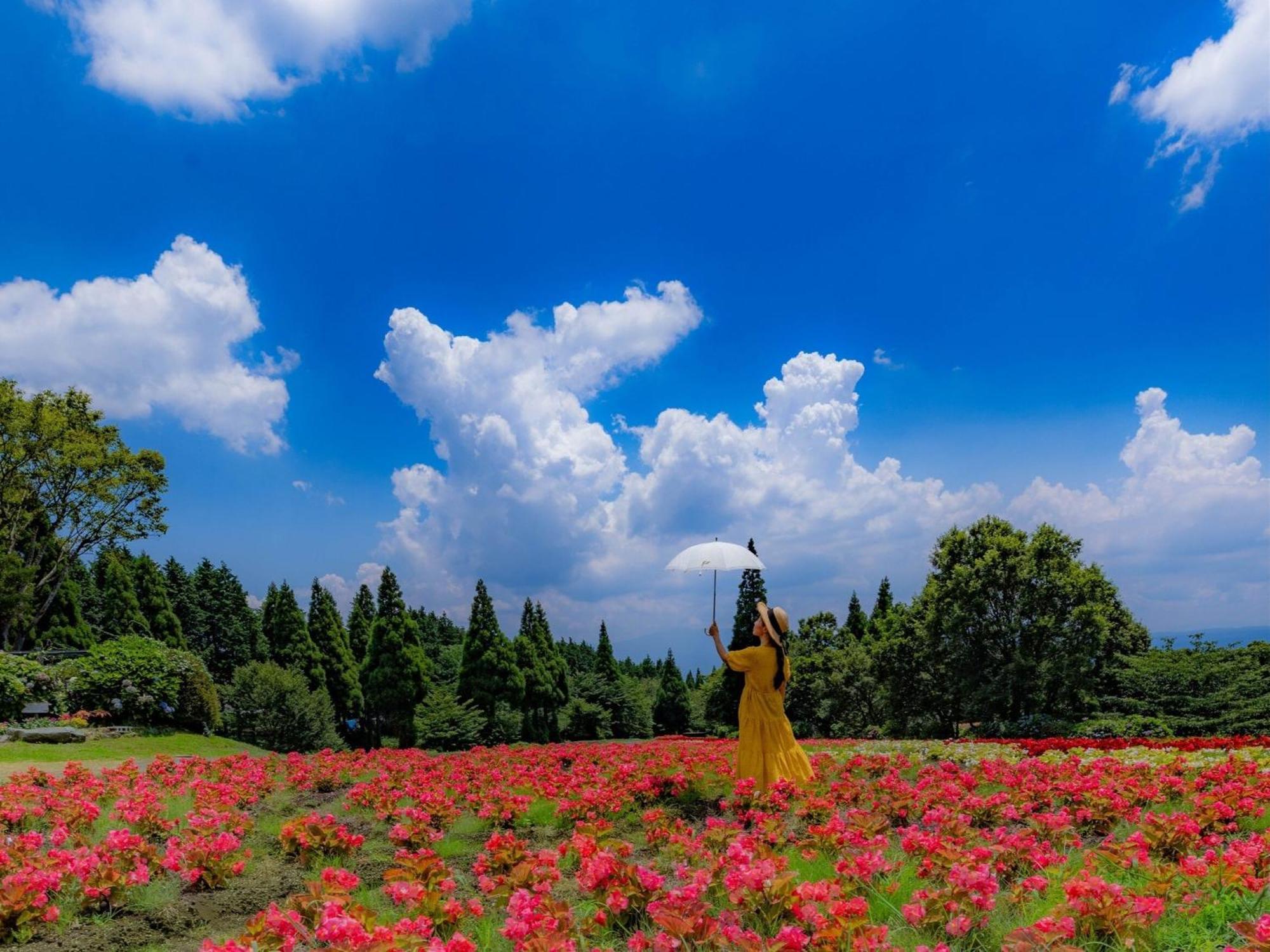 くじゅう花公園　キャンピングリゾート花と星 Kuju Esterno foto