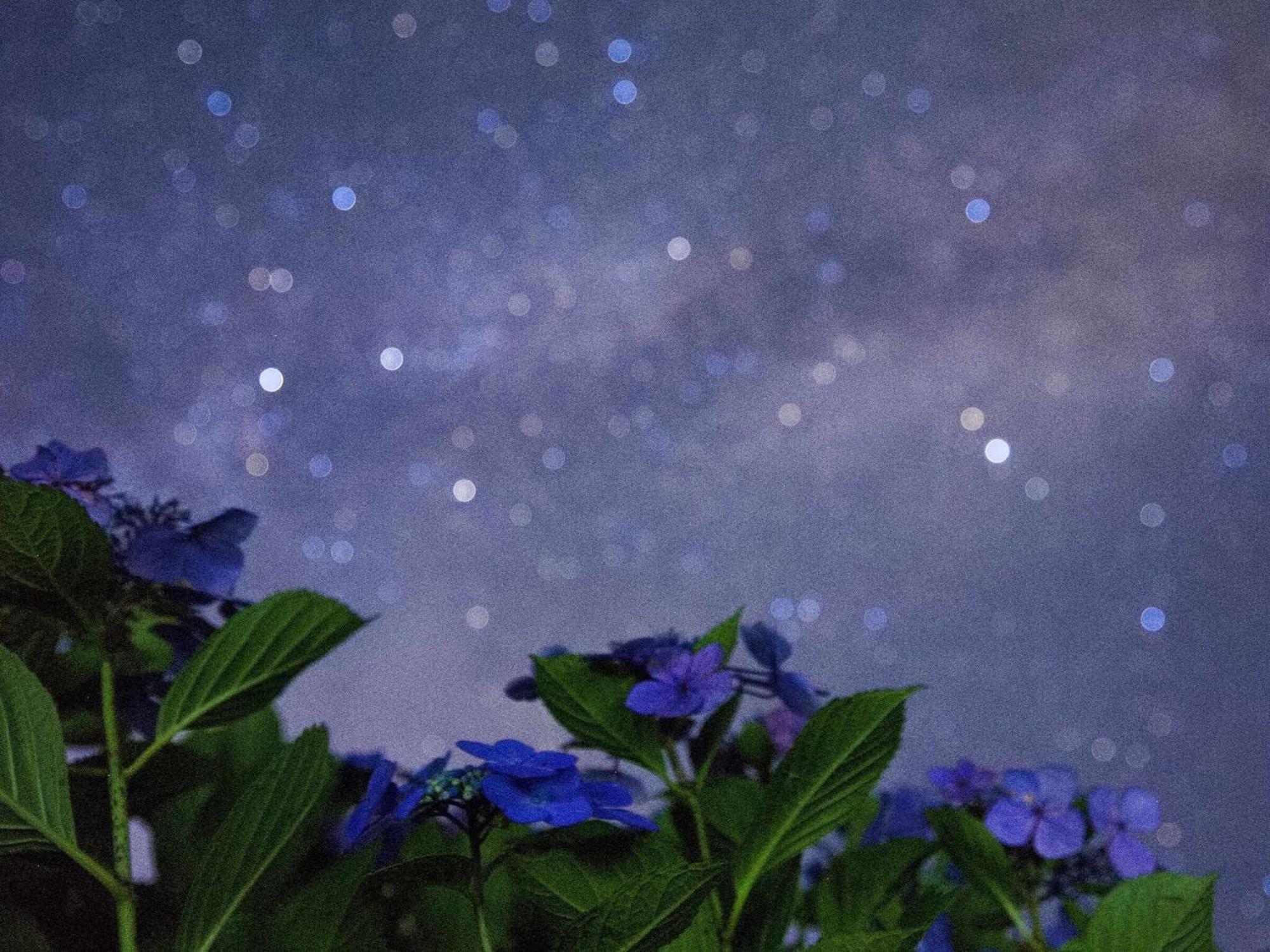 くじゅう花公園　キャンピングリゾート花と星 Kuju Esterno foto