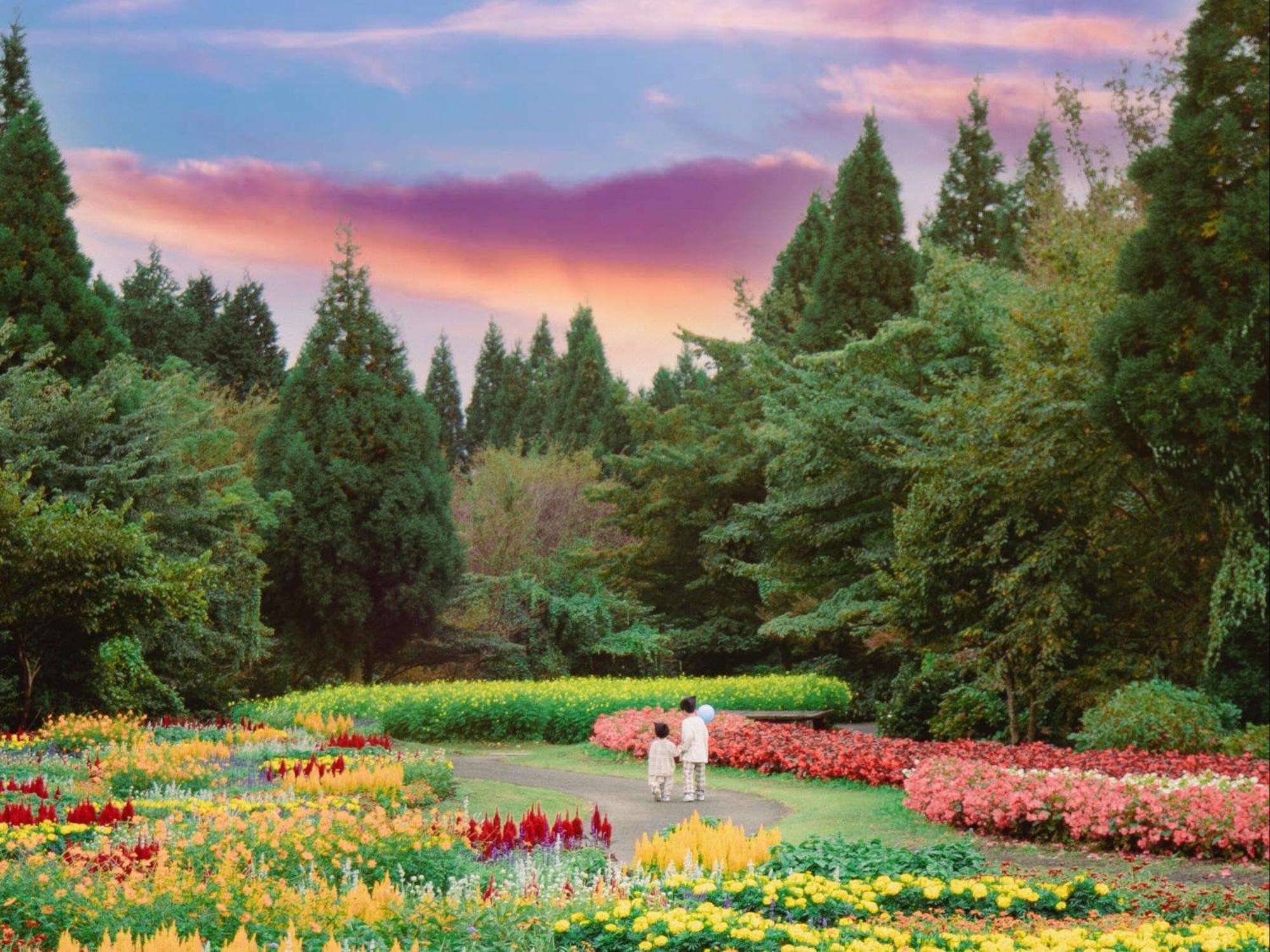くじゅう花公園　キャンピングリゾート花と星 Kuju Esterno foto